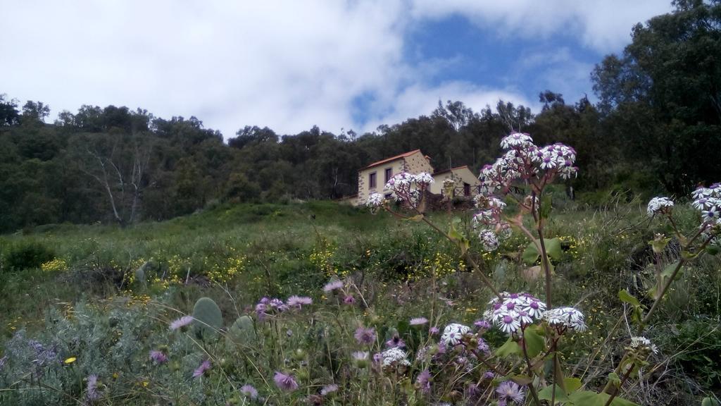 تيرور Casa Rural Las Caldereras المظهر الخارجي الصورة